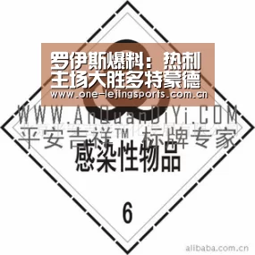 罗伊斯爆料:热刺主场大胜多特蒙德 创造奇迹:乐竟体育官方(图1) 乐竟体育